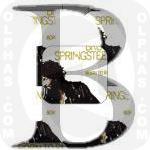 Born to Run BruceSpringsteen 