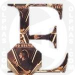 Every Picture TellsaStory RodStewart 