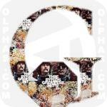 Greatest Hits TheByrds 
