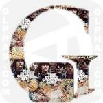 Greatest Hits TheByrds 