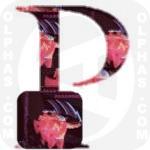 Paranoid BlackSabbath 