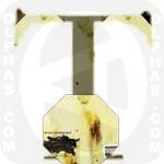 The Downward Spiral NineInchNails 