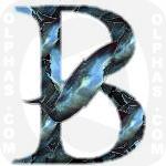 Blue Whale