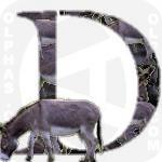 Donkey