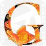 Goldfish