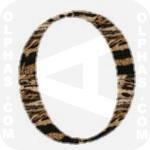 Ocelot 