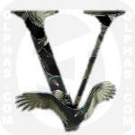 Vulture