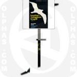 Johnathan Livingston Seagull Bach