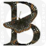 Baltimore Checkerspot