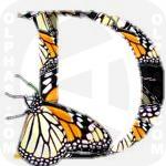Danaus Plexippus