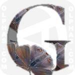 Gray Hairstreak