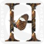 Heliconius Melpomene