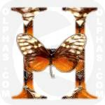 Hezia Clearwing