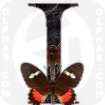 Iphidamas Cattleheart