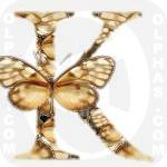 Kedema Clearwing