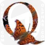 Question Mark