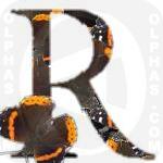 Red Admiral