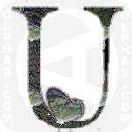 Uncolored Clearwing-Satyr