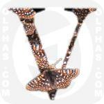 Variable Checkerspot