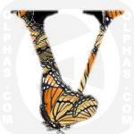 Viceroy
