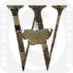 White Spotted Emesis