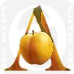 Apricot