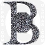 Bilberry  