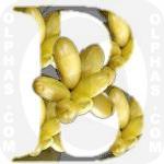 Bilimbi