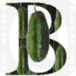 Bilimbi