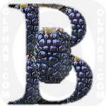 Blackberry