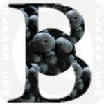 Blueberries  