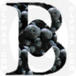 Blueberries  