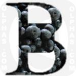Blueberries  