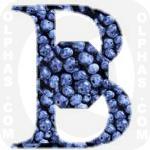 Blueberries 