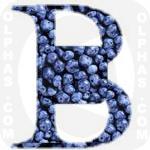 Blueberries 