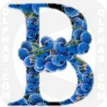 Blueberry