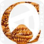 Canteloupe 