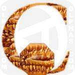 Canteloupe 