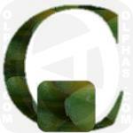 Carambola  