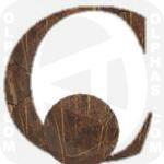 Coconut  