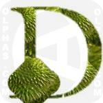 Durian  