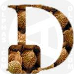 Durian  