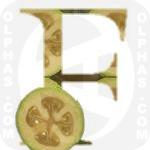 Feijoa cross