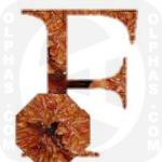 Fig  