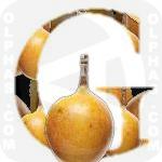 Golden Passion fruit