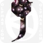 Jaboticaba  