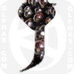 Jaboticaba Pattern 