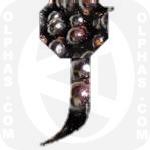 Jaboticaba Pattern 