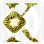 Kiwi  