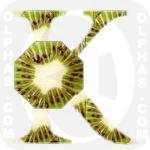 Kiwi  